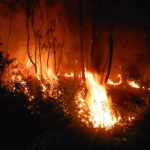 Incendio en Parque Nacional de Cuba deja daños de 8,3 millones de dólares