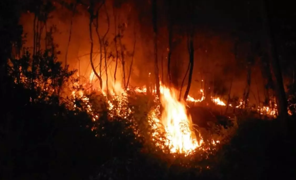 Incendio en Parque Nacional de Cuba deja daños de 8,3 millones de dólares