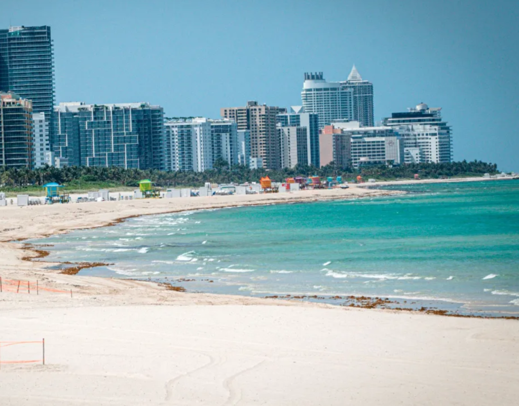 Llegan a la costa de Miami Beach “misteriosamente” los restos de un feto