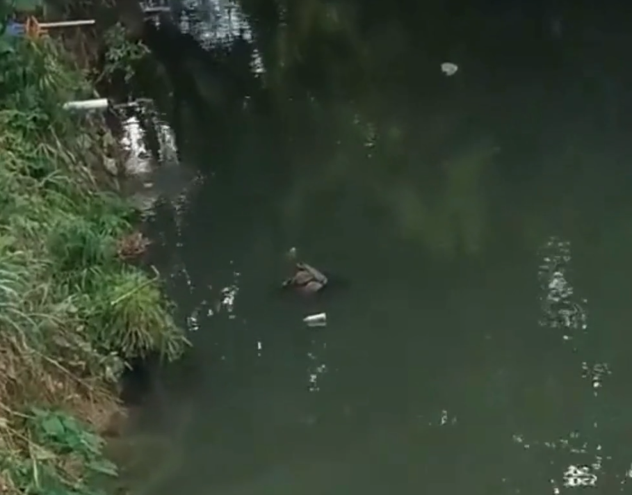 Hallan Cadáver de Niño flotando en la orilla de un río en el Kilómetro 18 de la Autopista Duarte