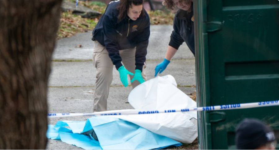 Hallan mujer muerta llena de moretones en un parque de Nueva York