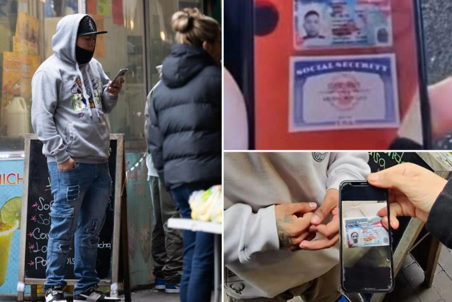 Auge de documentos falsos en NY: Pandilleros de MS-13 venden «Green Cards» y «SSN» en Queens