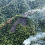 Nacional haitiano enviado a prisión por provocar incendio en cañaveral de Central Romana