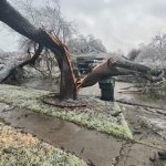 Fuertes tormentas causan al menos 5 personas muertas en Texas