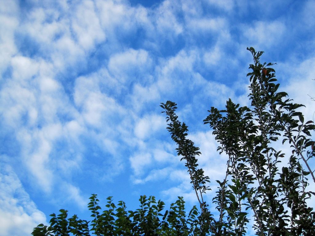 Nubes dispersas y altas temperaturas en RD este sábado