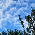 Nubes dispersas y altas temperaturas en RD este sábado