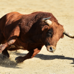 Hombre es embestido por un toro durante corridas en El Seibo