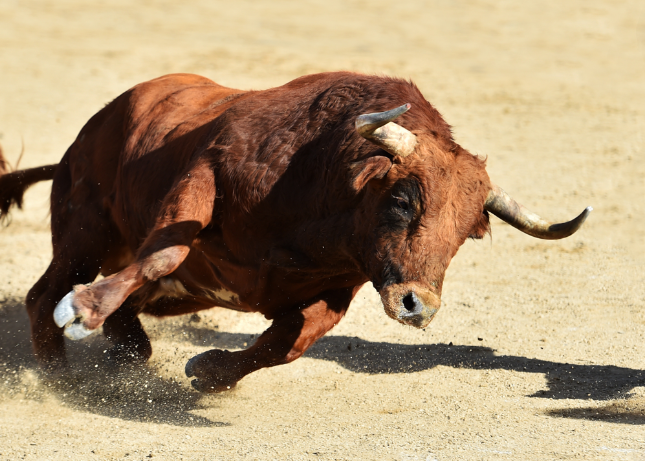 Hombre es embestido por un toro durante corridas en El Seibo