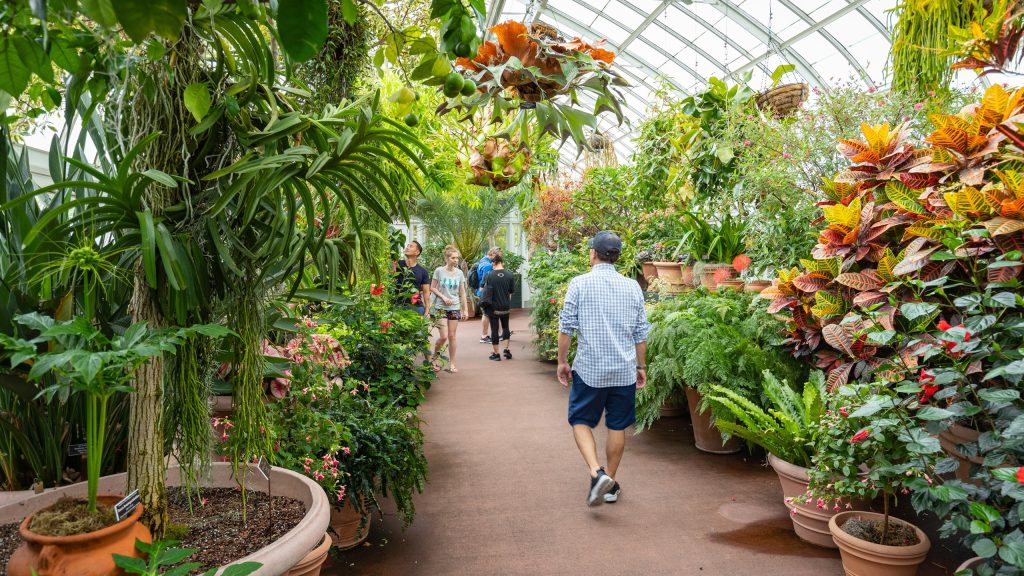 Proyecto busca crear espacios verdes en terrazas de edificios en El Bronx