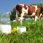 ¡1ro de junio! Día Mundial de la Leche