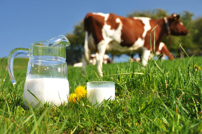 ¡1ro de junio! Día Mundial de la Leche