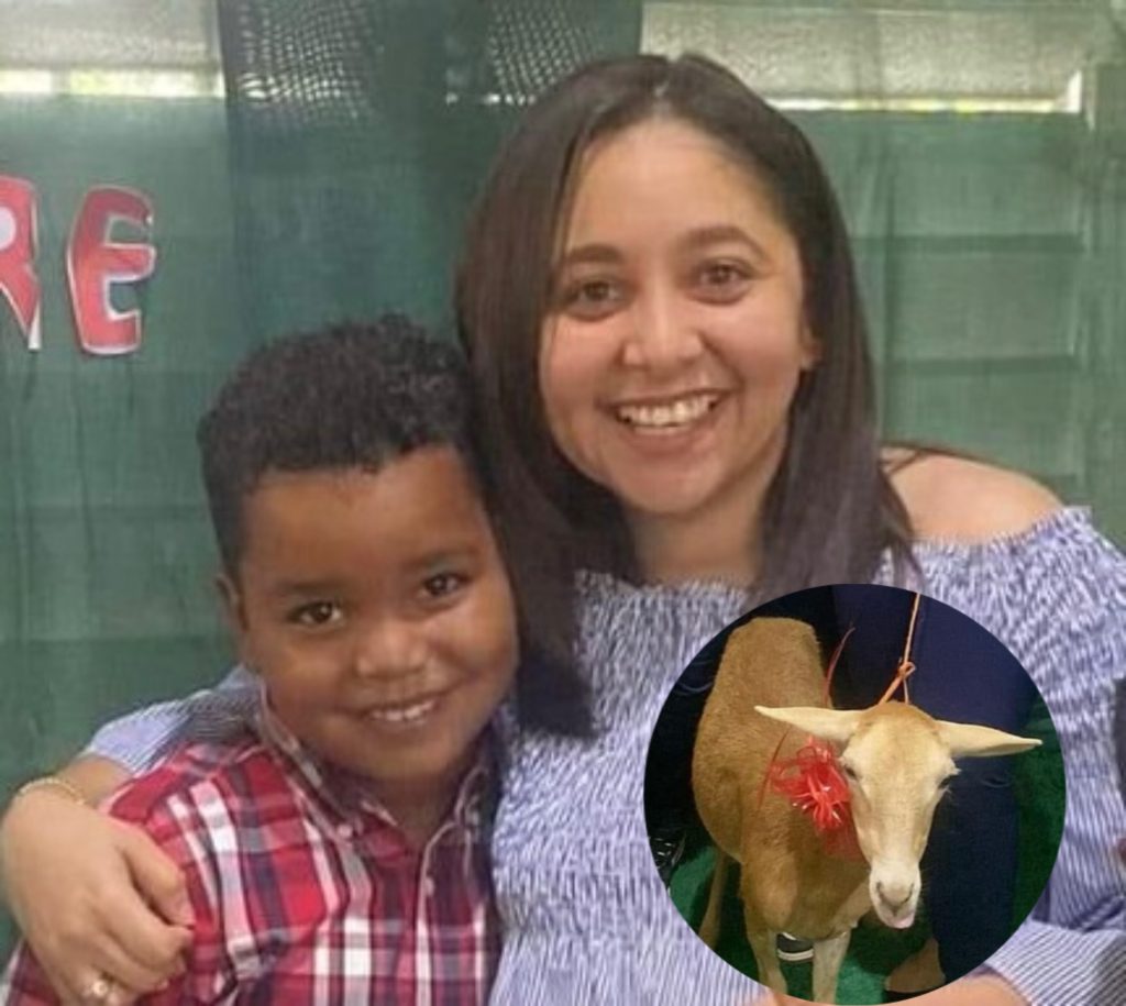 ¡Viral! Estudiante regala un chivo a su maestra por fin de año escolar; Minerd reacciona