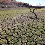 Día de Lucha contra la Desertificación y la Sequía