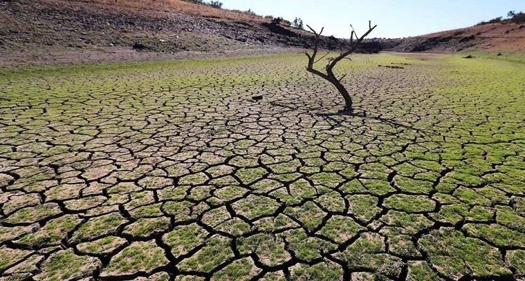 Día de Lucha contra la Desertificación y la Sequía