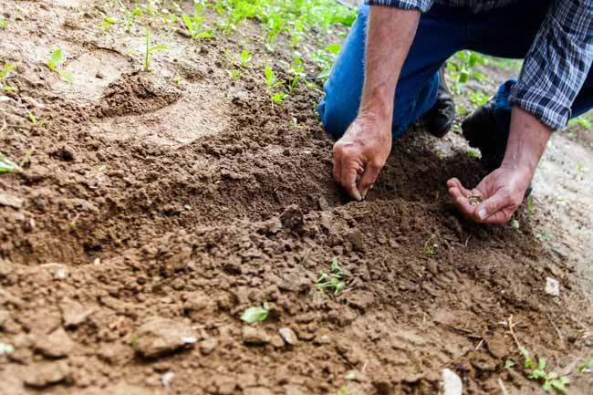 ¡07 de julio! Día Internacional de la Conservación del Suelo