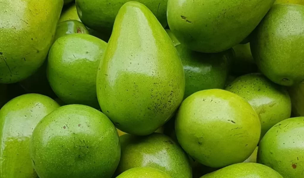 ¡Hoy es especial! Se celebra el Día Internacional del Aguacate