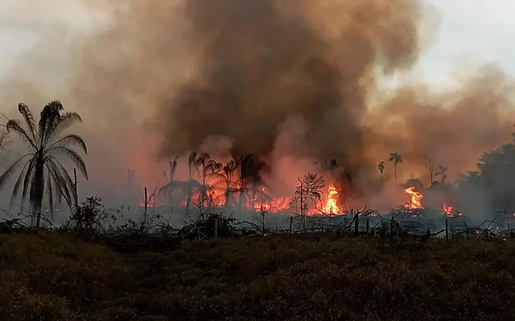 Alertan de peligro de incendios en 42 municipios de Bolivia