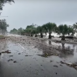 Habilitan autopistas 30 de Mayo tras escombros dejados por el paso de huracán Beryl