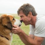 13 películas que puedes ver sobre perros en su Día Mundial