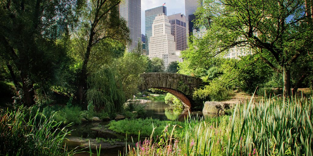 Aumentan presencia policial y suman drones para proteger Central Park de ladrones