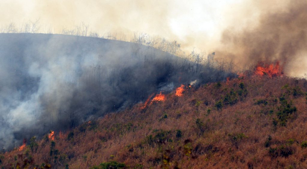 Aumenta a más de 3.800 hectáreas área calcinada por incendio forestal en Ecuador