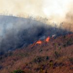 Aumenta a más de 3.800 hectáreas área calcinada por incendio forestal en Ecuador