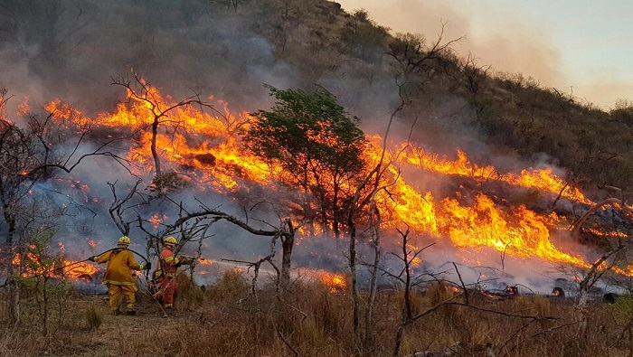 ¡18 de agosto! Día Mundial de los Incendios Forestales