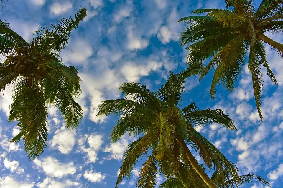 Cielo soleado y de pocas nubes este jueves en RD, según el Indomet