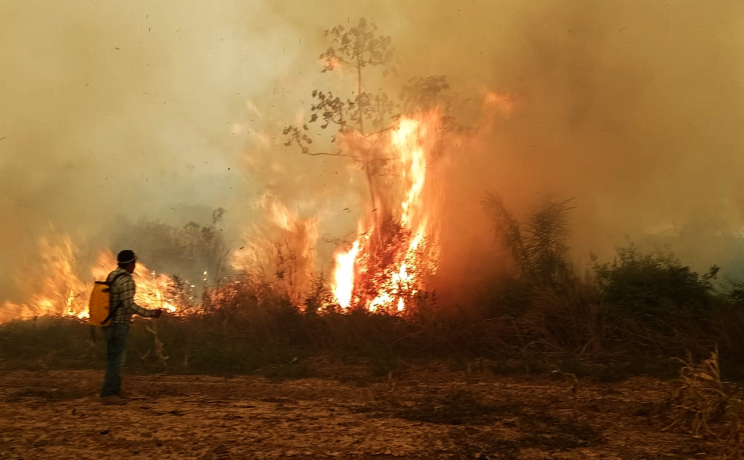 Bolivia reporta que 11.747 familias resultaron damnificadas por los incendios forestales