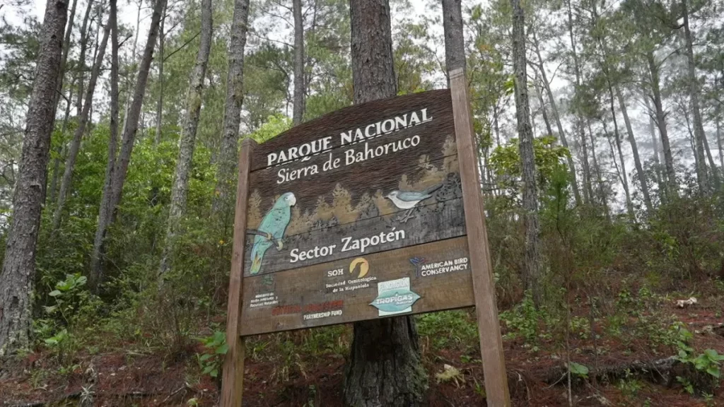 Ambientalista Luis Carvajal saluda decisión del TSA sobre Sierra de Bahoruco