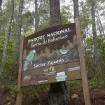 Ambientalista Luis Carvajal saluda decisión del TSA sobre Sierra de Bahoruco