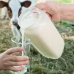 Cuál es el valor nutricional de la leche de vaca y sus beneficios para la salud