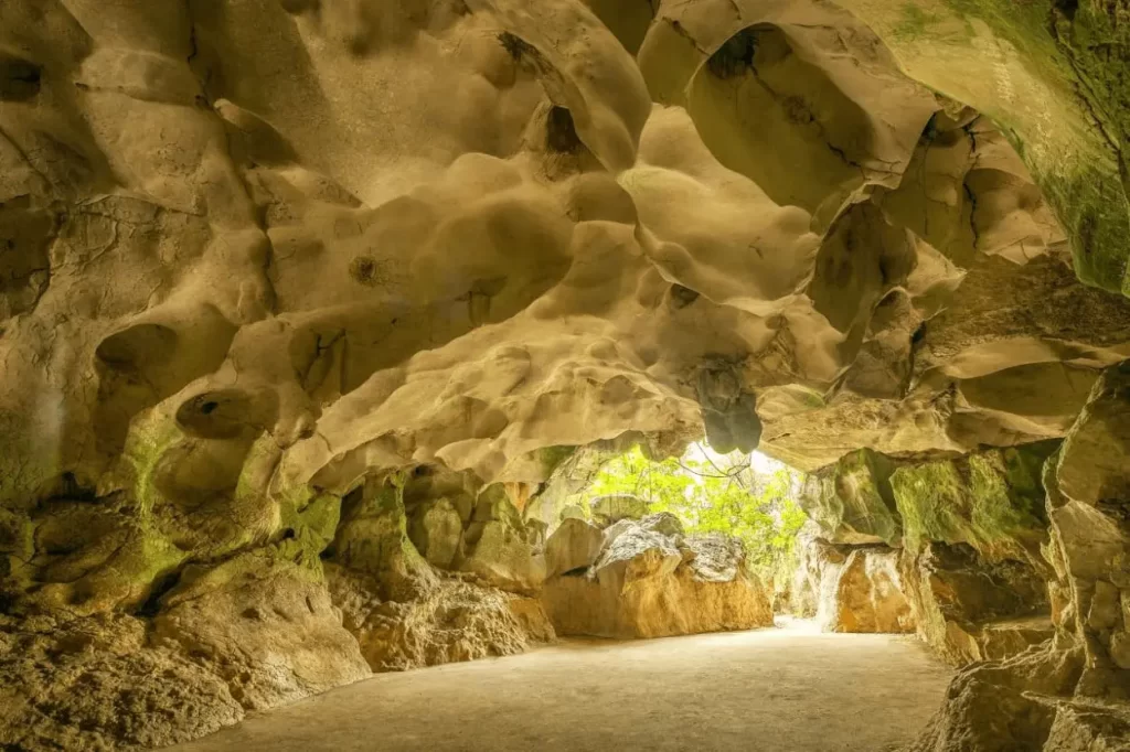 Cuevas del Pomier en crisis: Denuncian grave ecocidio por minería indiscriminada