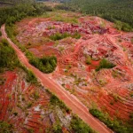  La euforia nacional sobre el “descubrimiento” de más de 100 millones de toneladas de tierras raras en el país, resulta en extremo desconcertante.